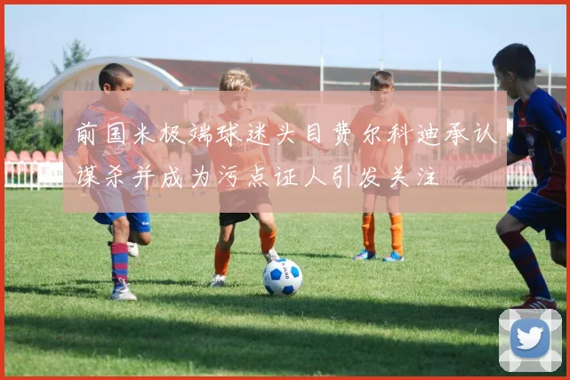 前国米极端球迷头目费尔科迪承认谋杀并成为污点证人引发关注