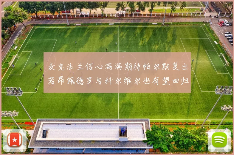 麦克法兰信心满满期待帕尔默复出若昂佩德罗与科尔维尔也有望回归